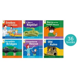 Oxford Reading Tree: Floppy's Phonics Decoding Practice: Oxford Level 5: Class Pack of 36