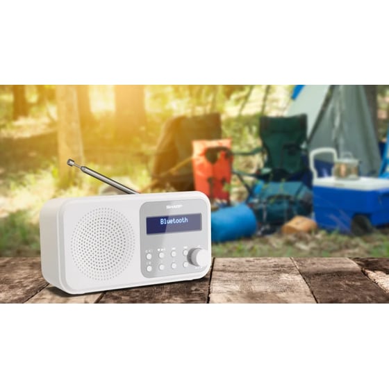 Φορητό ραδιόφωνο Sharp Tokyo DR-P420-White image 10