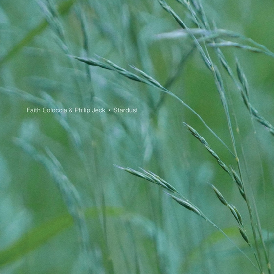 Stradust image 0