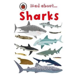 Mad About Sharks