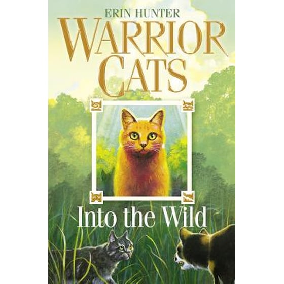 Into the Wild image 0