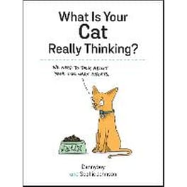 What Is Your Cat Really Thinking?