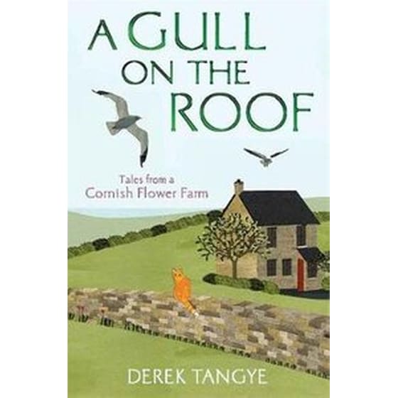 A Gull on the Roof image 0