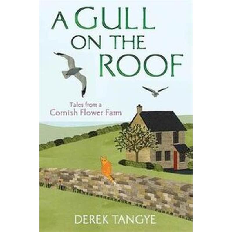 A Gull on the Roof