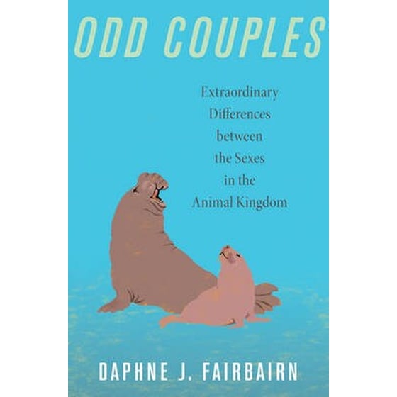 Odd Couples image 0