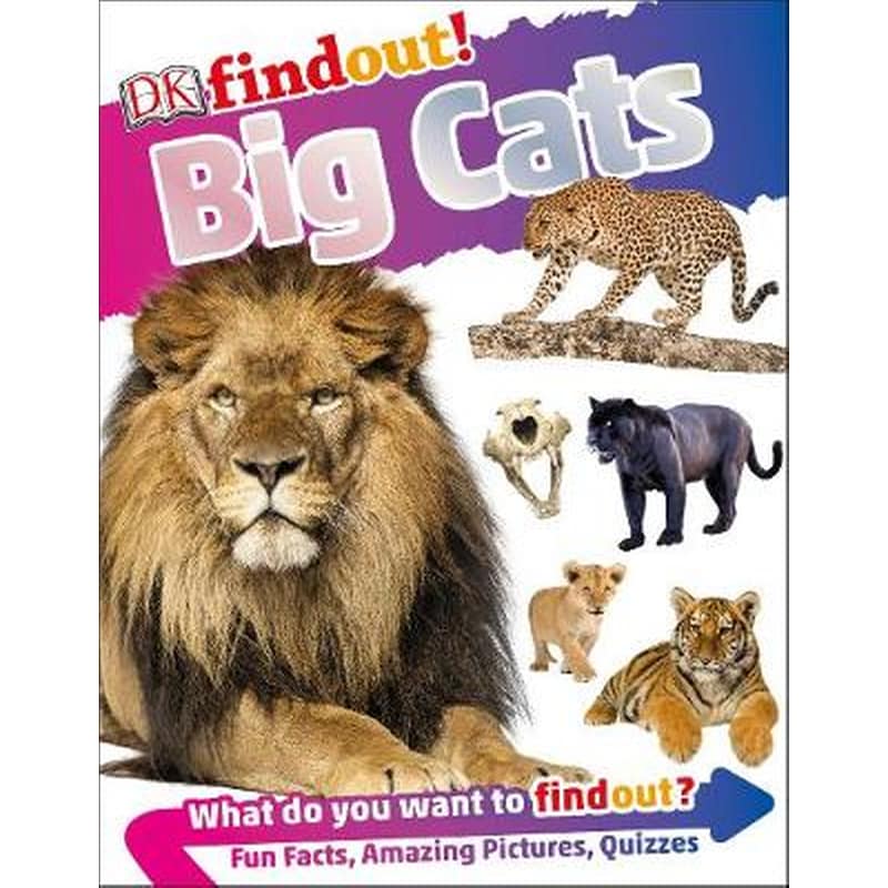 DKfindout! Big Cats