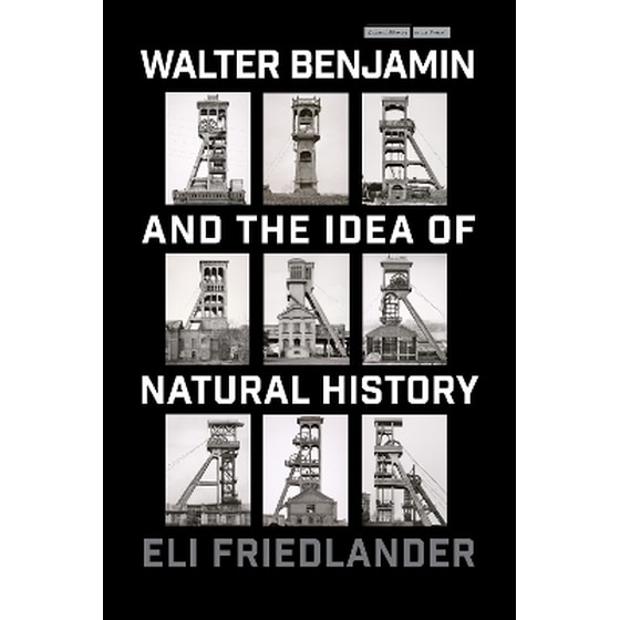 Walter Benjamin and the Idea of Natural History image 0