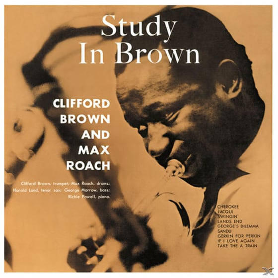 Study In Brown image 0