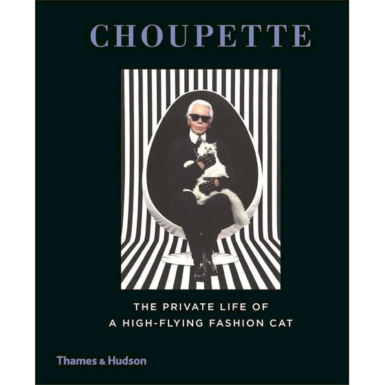 Choupette. The Private Life of a High-flying Fashion Cat image 0