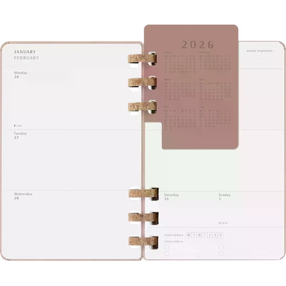 Ημερολόγιο Σπιράλ Moleskine 2026 12Μ Large Spiral Almond Hard image 8