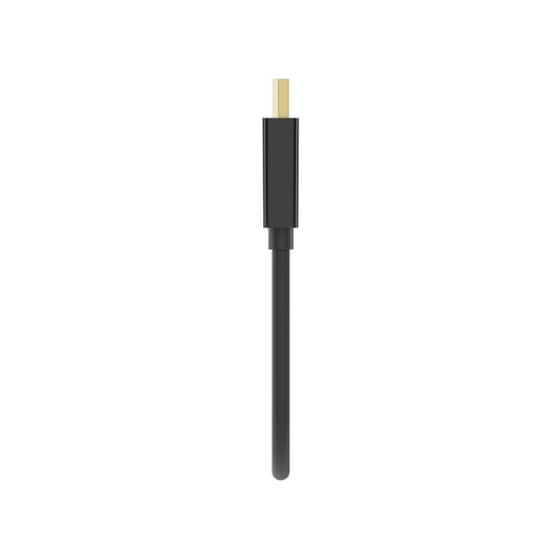 Αντάπτορας Belkin DisplayPort Male σε DVI Female image 2