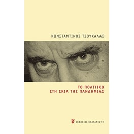 Το πολιτικό στη σκιά της πανδημίας