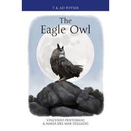 Eagle Owl