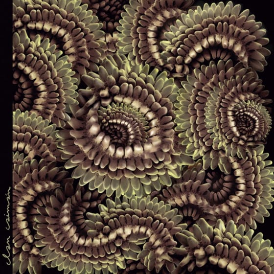 Pica Pau (LP) image 0