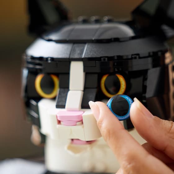 LEGO® Ideas Tuxedo Cat (21349) image 19