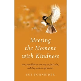Meeting the Moment with Kindness