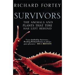 Survivors