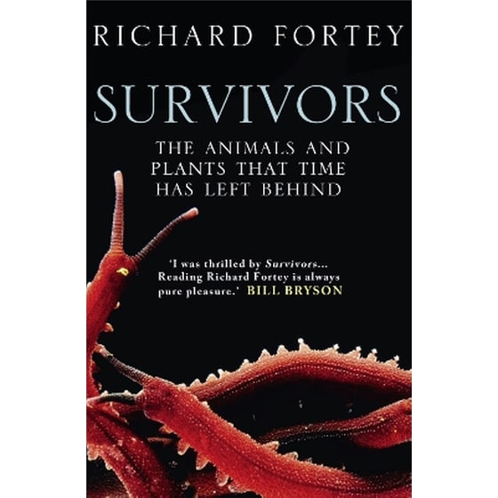 Survivors image 0