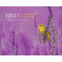 Bird Photographer of the Year
