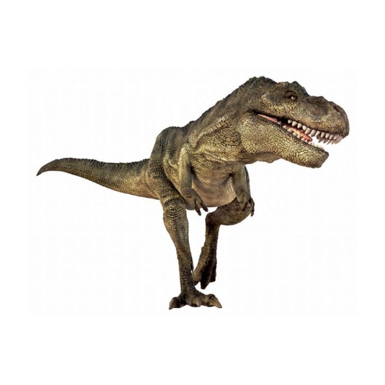 Picture Viewer Με Δεινόσαυρους Natural History Museum image 1