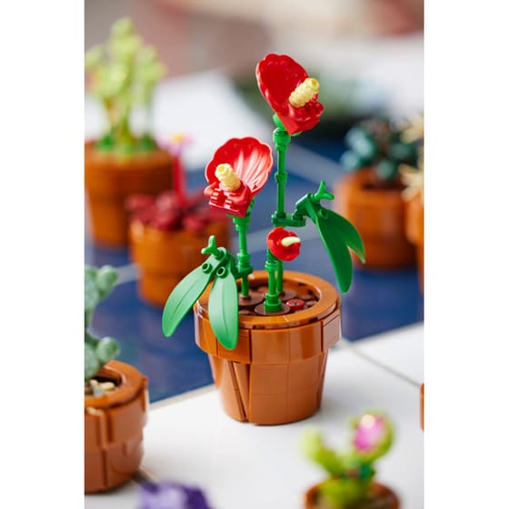 LEGO® Icons Tiny Plants (10329) image 3