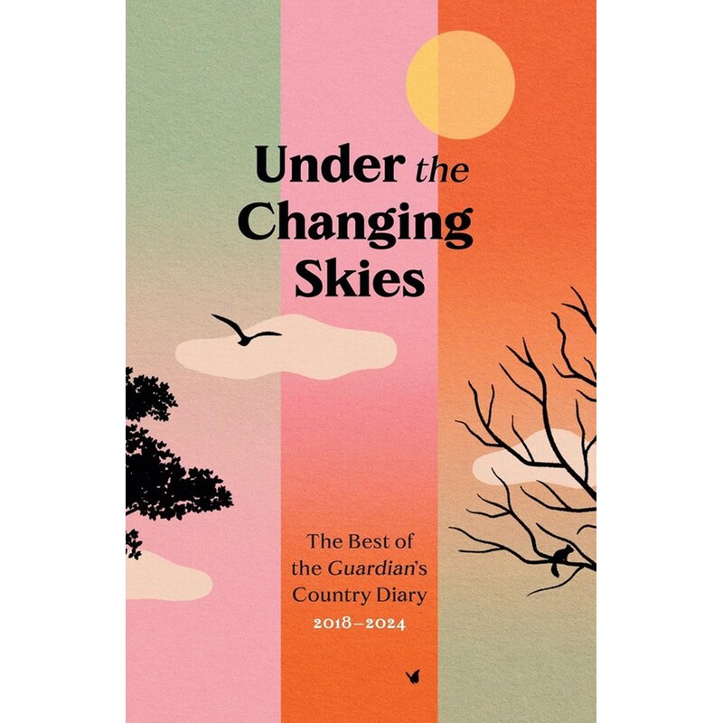 Under the Changing Skies