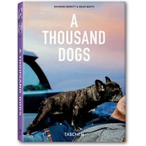 A Thousand Dogs image 0