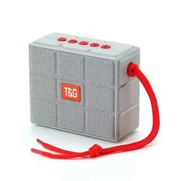 T&G Tg311 Φορητό Ηχείο - Γκρι