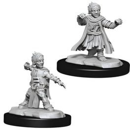 Wizkids Deepcuts: Halfling Male Monk Dungeons & Dragons WIZKIDS