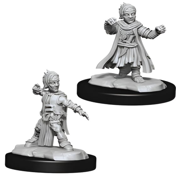Wizkids Deepcuts: Halfling Male Monk Dungeons & Dragons WIZKIDS image 0
