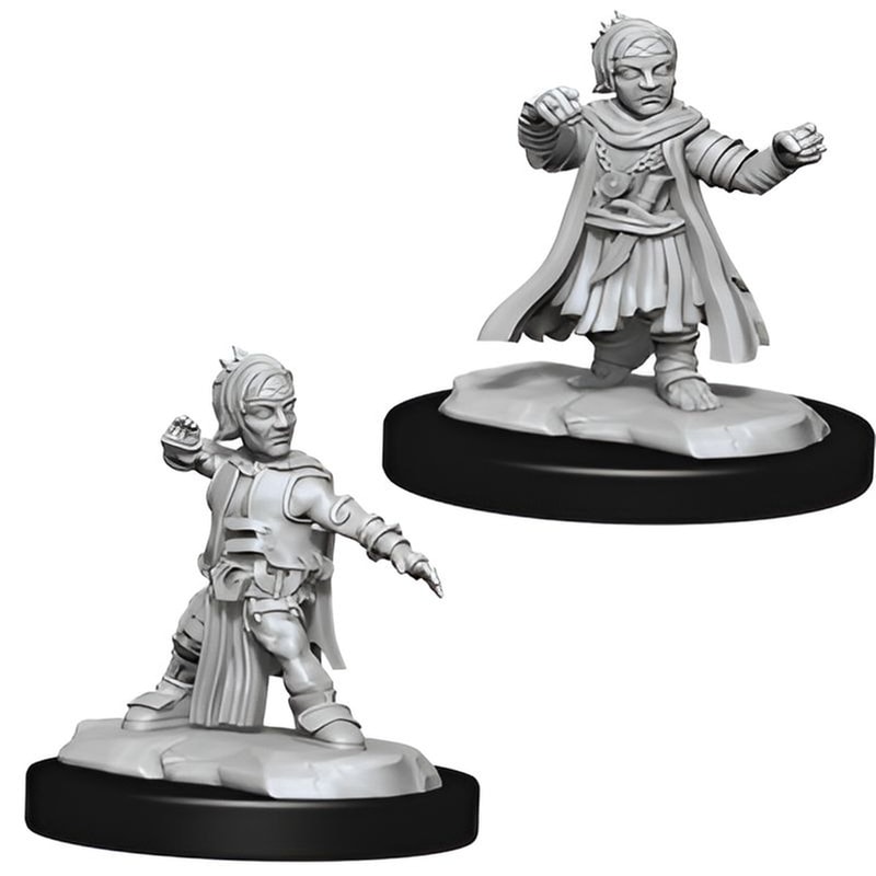 WIZKIDS Wizkids Deepcuts: Halfling Male Monk Dungeons Dragons WIZKIDS