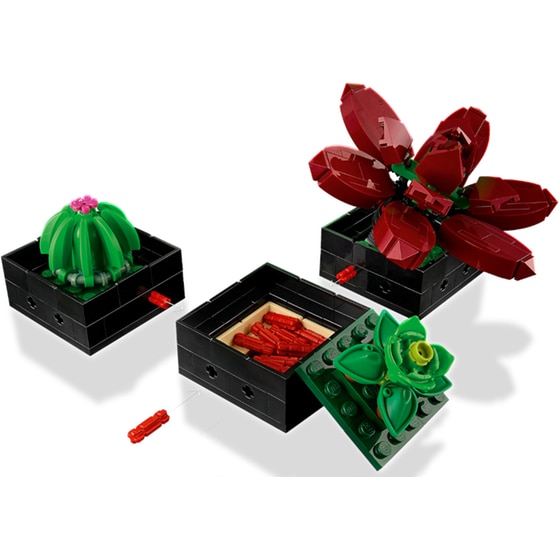 LEGO® Creator Expert Succulents (10309) image 5