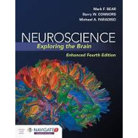 Neuroscience: Exploring The Brain, Enhanced Edition image 0