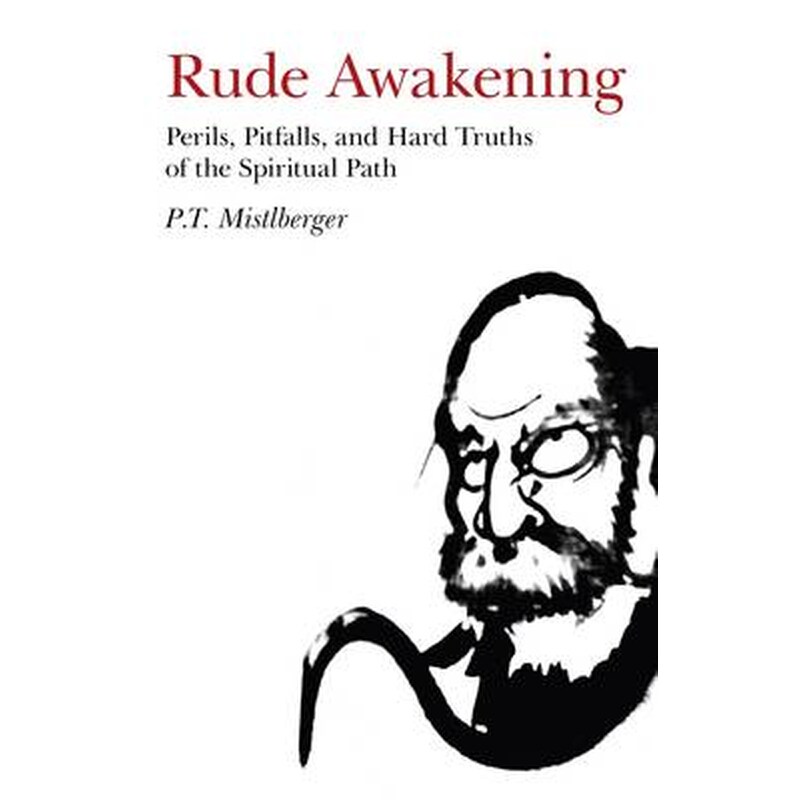 Rude Awakening - Perils, Pitfalls, and Hard Truths of the Spiritual Path