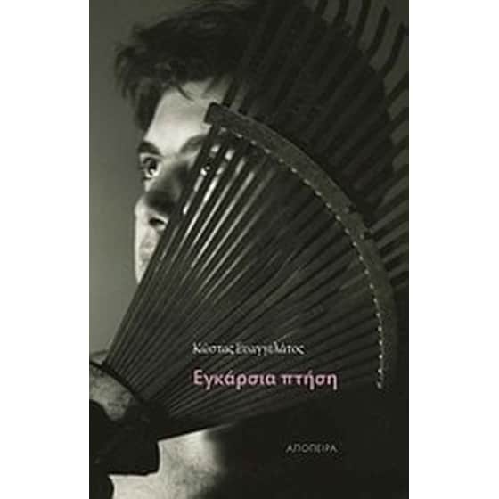 Εγκάρσια πτήση image 0