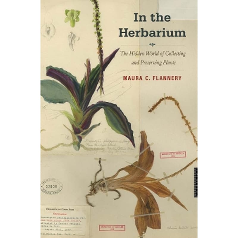 In the Herbarium