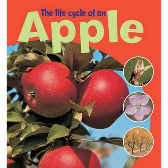 Life Cycle of an Apple image 0