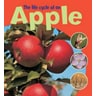 product-thumbnail
