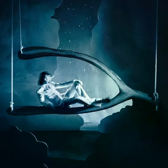 Wishbone image 0