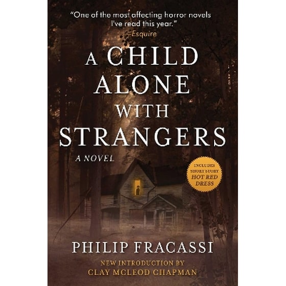 A Child Alone with Strangers image 0