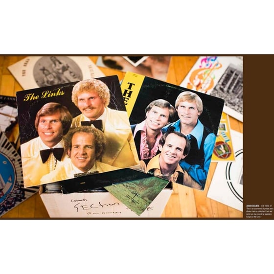 Dust and Grooves image 2