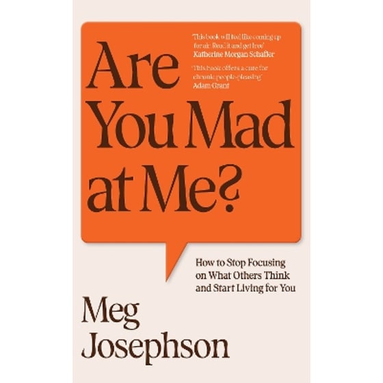 Are You Mad At Me? image 0