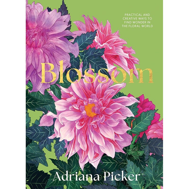 Blossom