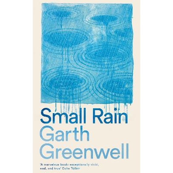 Small Rain image 0