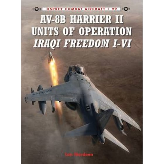 AV-8B Harrier II Units of Operation Iraqi Freedom I-VI image 0