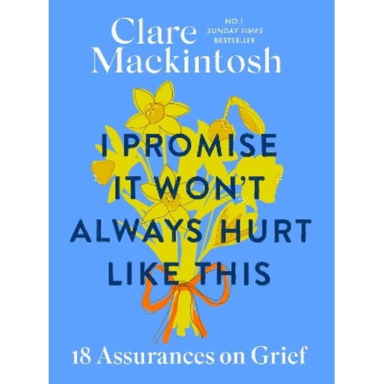 I Promise It Won't Always Hurt Like This image 0