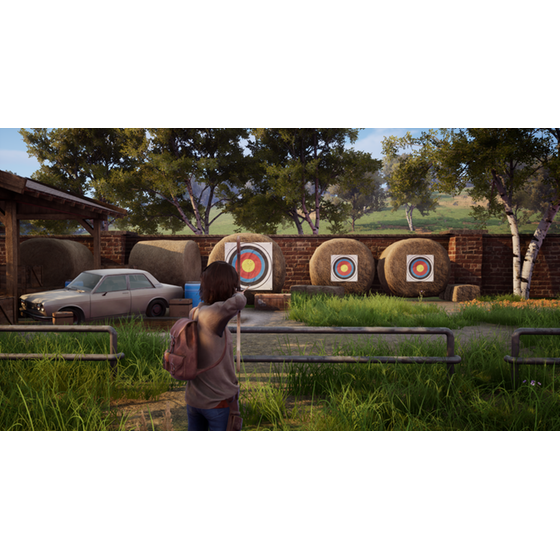 Windstorm: An Unexpected Arrival - Nintendo Switch image 1