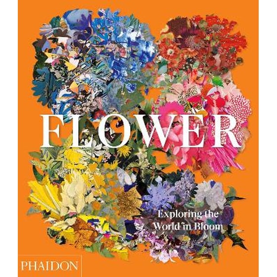 Flower image 0