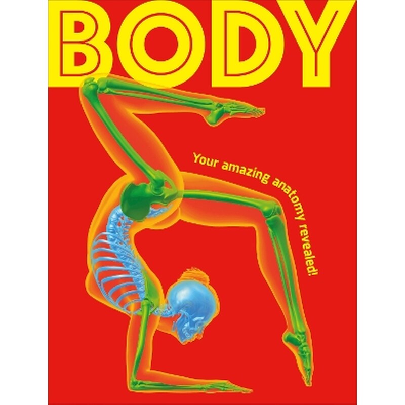 Body