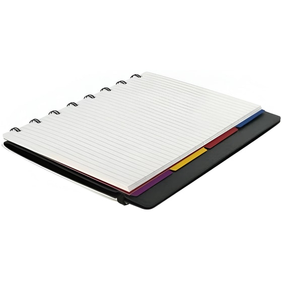 Σημειωματάριο Filofax Ριγέ Large (1 Τεμάχιο) image 3